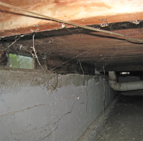 Crawlspace Water Removal in a Rancho Cucamonga home